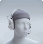 Rare VAIIYA ECHO GUARDS.png