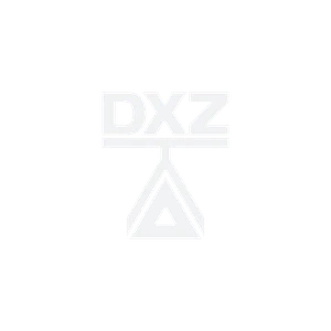 THE-FINALS dxz-logo.png