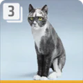 Thumbnail for version as of 22:20, 2 April 2025