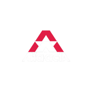THE-FINALS allstart-logo.png