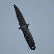 PAINTED PREDATOR - Rewarded for Rank 8 with Dagger