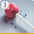 Thumbnail for version as of 22:21, 2 April 2025