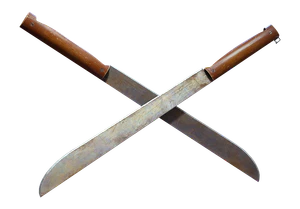 Dual-Blades JUNGLE JUSTICE.png