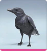 Level 95 Cash-Crow.png