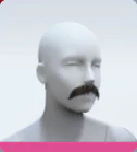 Level 11 BERNAL BRUSH