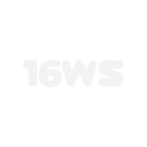 THE-FINALS 16WS-Logo.png
