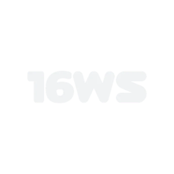 File:THE-FINALS 16WS-Logo.png