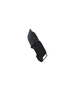 Flip-out flayer.PNG