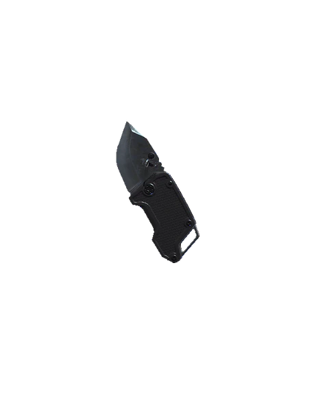 File:Flip-out flayer.PNG