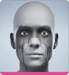 Level 93 Runny-Shadow.png