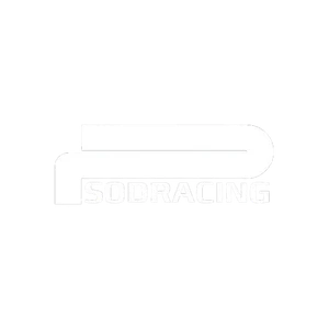 THE-FINALS sodracing-Logo.png