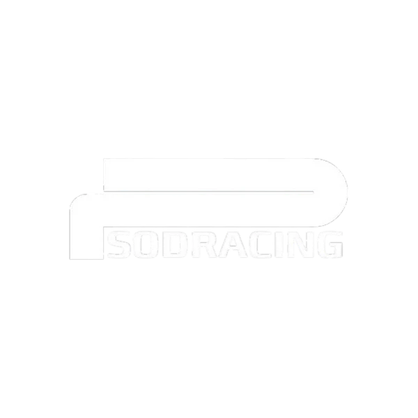 File:THE-FINALS sodracing-Logo.png