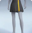 PLEATED SKIRT - Career Level 29