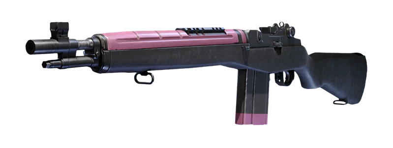 File:LH1 DJ Pink.png