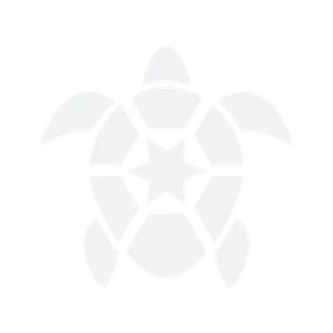 The-Tough-Shells Team-Logo.png