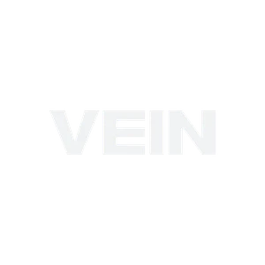 THE-FINALS vein-logo.png