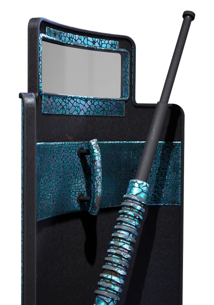 File:Riot Shield PREDASHEEN.png