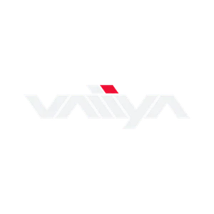 THE-FINALS vaiiya-logo.png