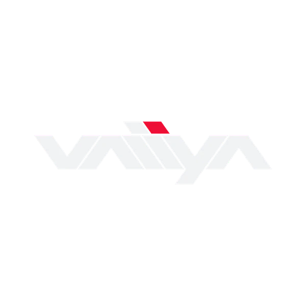 File:THE-FINALS vaiiya-logo.png