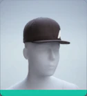 Level 19 FLAT-BRIM CAP