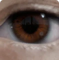 Thumbnail for version as of 22:18, 2 April 2025