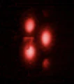 Thumbnail for version as of 22:19, 2 April 2025