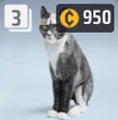 CONSPIRAKITTEN - 1,100 (Bundle)