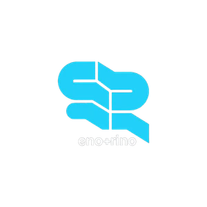 THE-FINALS sr-logo.png