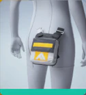 Level 6 SATCHEL