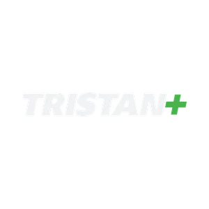 THE-FINALS trsitan-logo.png