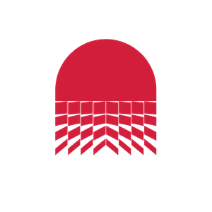 THE-FINALS Dissun-Logo.png