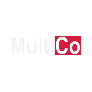 THE-FINALS MultiCo-Logo.png