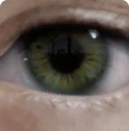 Thumbnail for version as of 22:18, 2 April 2025