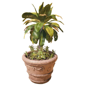 Flower Pot.png