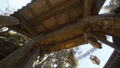 Thumbnail for version as of 22:23, 2 April 2025