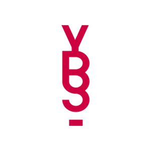 THE-FINALS ybs-logo.png