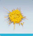 Thumbnail for version as of 22:19, 2 April 2025