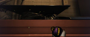 Moneyflies.jpg