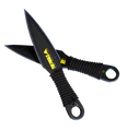 Thumbnail for version as of 22:22, 2 April 2025