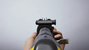 Iron Sights Example.png