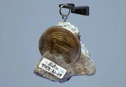 'FOSSIL FORTUNE' charm