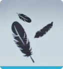 Level 89 RUFFLED FEATHERS