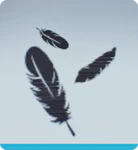 Level 89 Ruffled-Feathers.png
