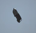 FLIP-OUT FLAYER - 800